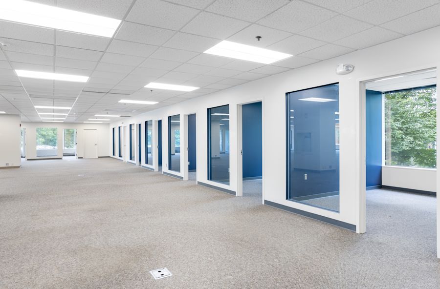 Main Area 1