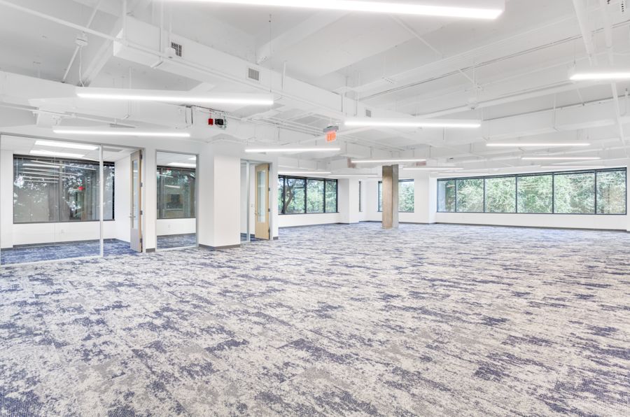 Main Area 1