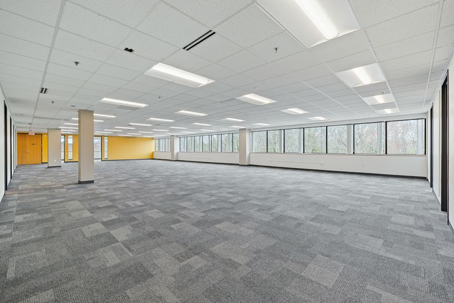 Main Area 1