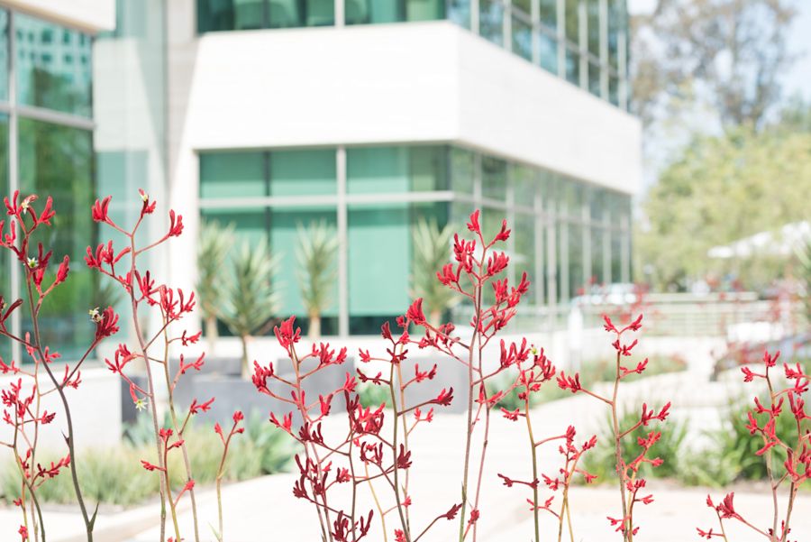 Koll Center Newport - 4400 MacArthur Boulevard