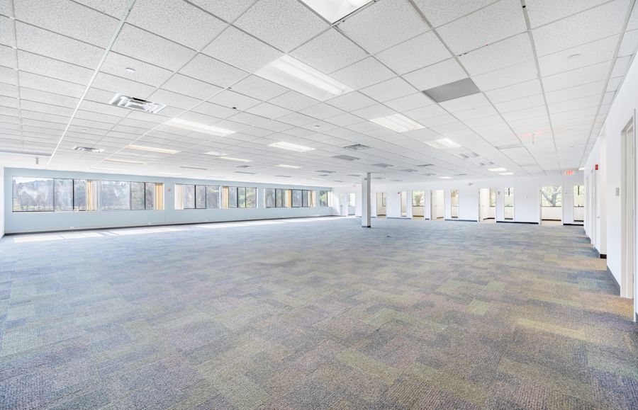 Main Area 1