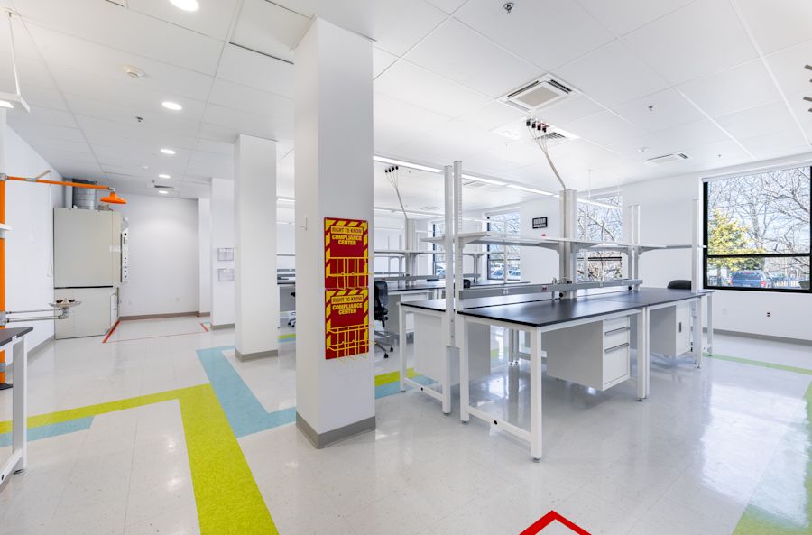 Lab