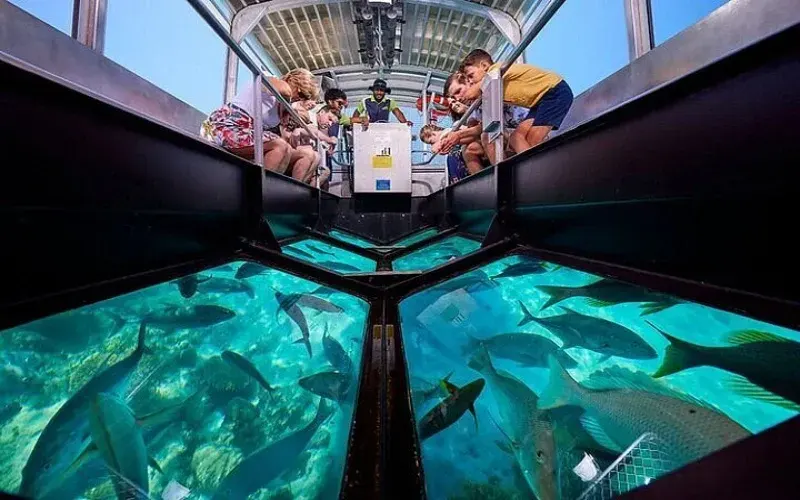 Marine Life — Glass Bottom Boat Trip