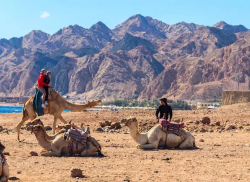 Camel Ride — Hurghada Desert Safari