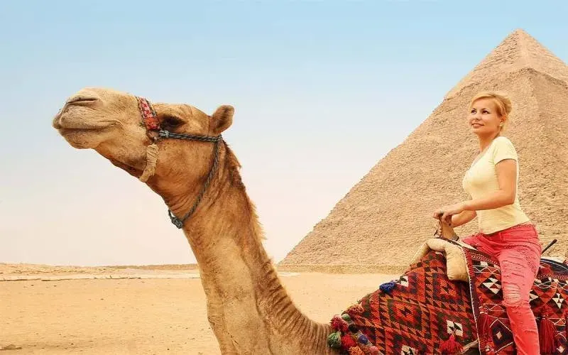 Camel beside the Great Pyramid at sunset — Egypt For Travel private tour