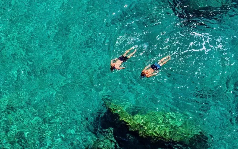 Snorkeling at Dolphin House