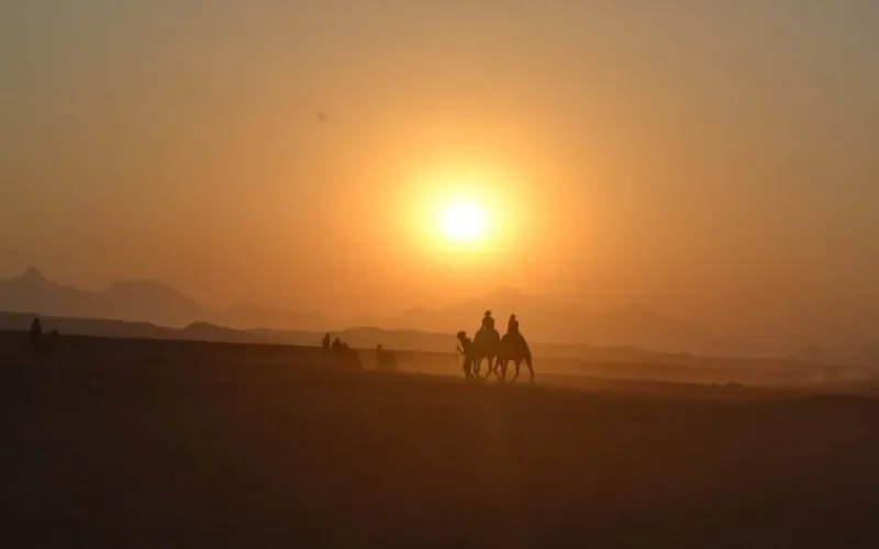 Sunset Camel Ride — Super Safari Tour