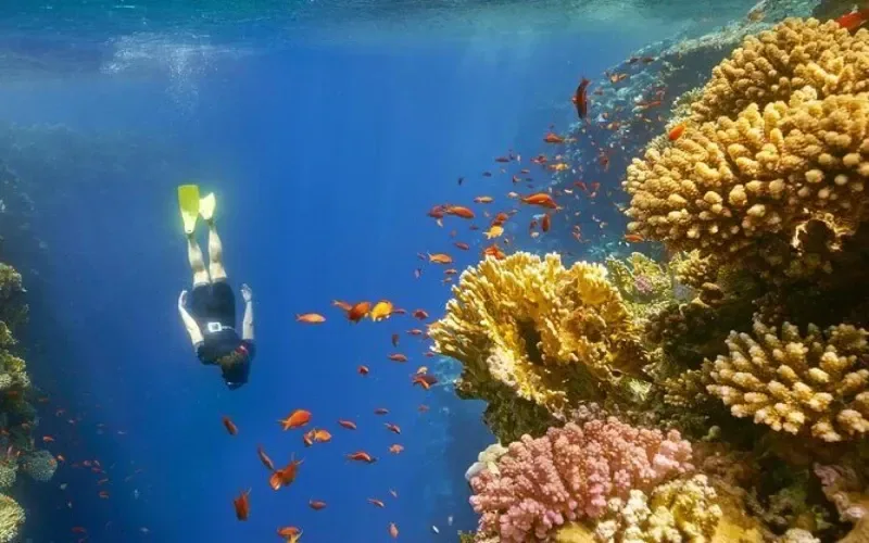 Blue Hole shallow reef snorkeling — safe accessible area, Colored Canyon and Dahab day trip