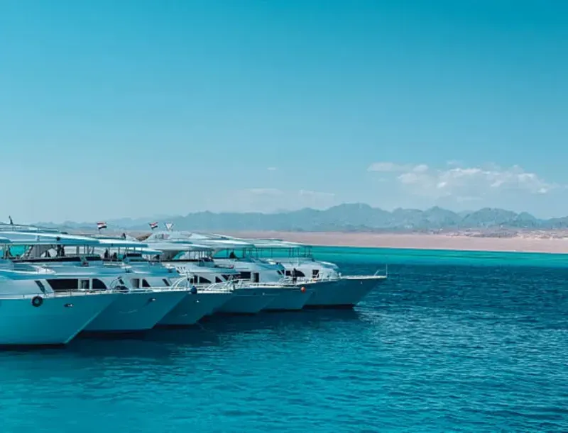 Giftun Island Boat Trip