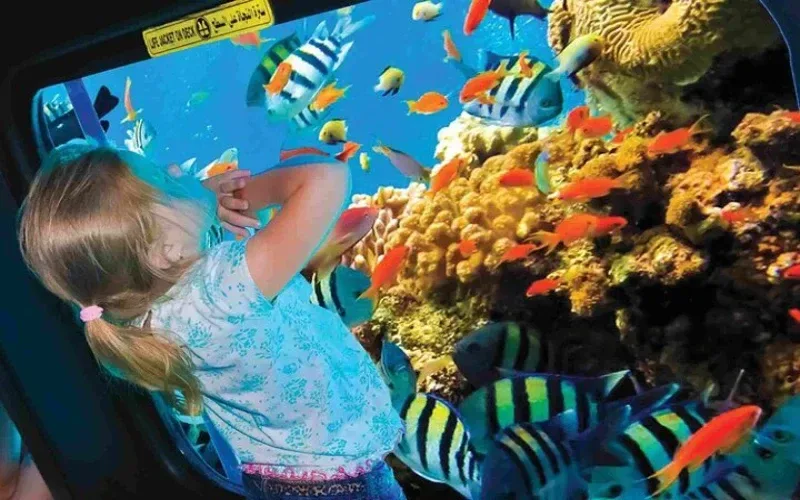 Reef View — Glass Bottom Boat Trip