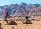 Camel Ride — Hurghada Desert Safari