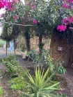 Cairo Countryside & Farm Day Tour — Egyptian Village Life, Farms & Nile Felucca