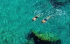 Snorkeling at Dolphin House
