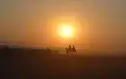 Sunset Camel Ride — Super Safari Tour