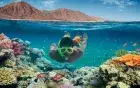 Snorkeling at Orange Bay