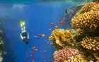 Blue Hole shallow reef snorkeling — safe accessible area, Colored Canyon and Dahab day trip