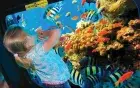 Reef View — Glass Bottom Boat Trip