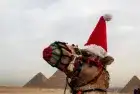 Egypt Christmas Tour Pyramids Cairo | Egypt For Travel