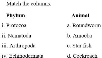 Figure for question 23