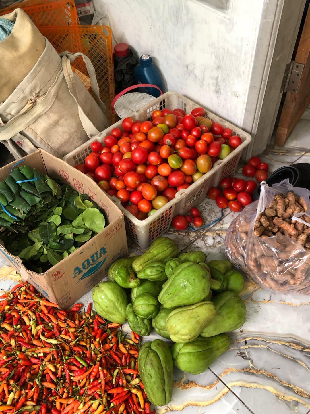 Aneka Sayur Segar