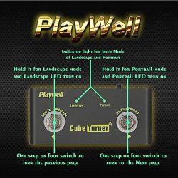 Playwell Page Turner for Tablets