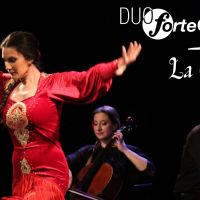 Spectacle Classic x Flamenco - Ametlla del Vallès