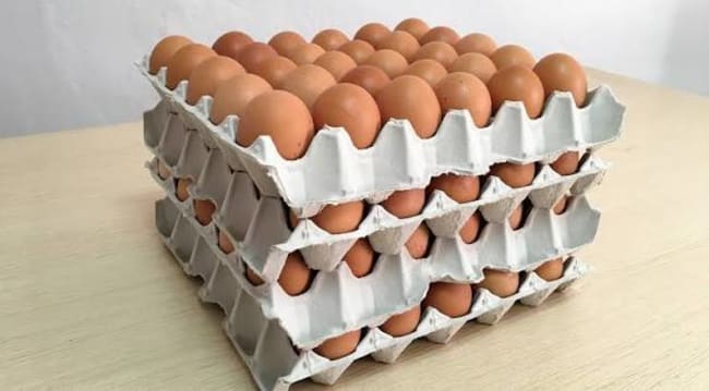 Huevos por maple 2,5 docenas