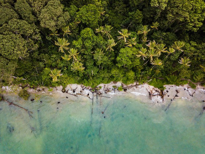 Costa Rica: un destino «esencial» que es «pura vida»