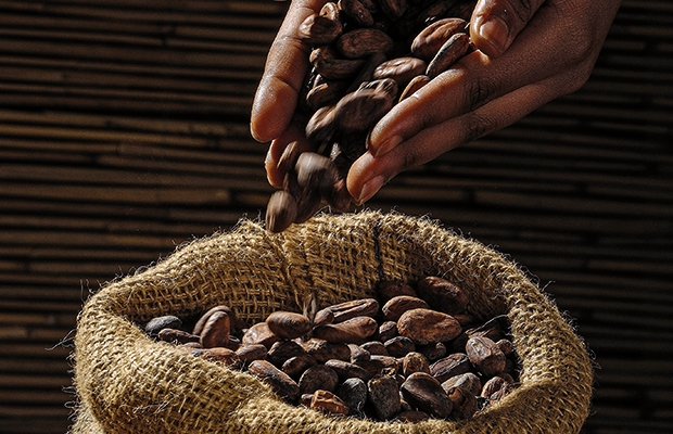 La cultura del café en el oriente cubano, un aroma que trasciende