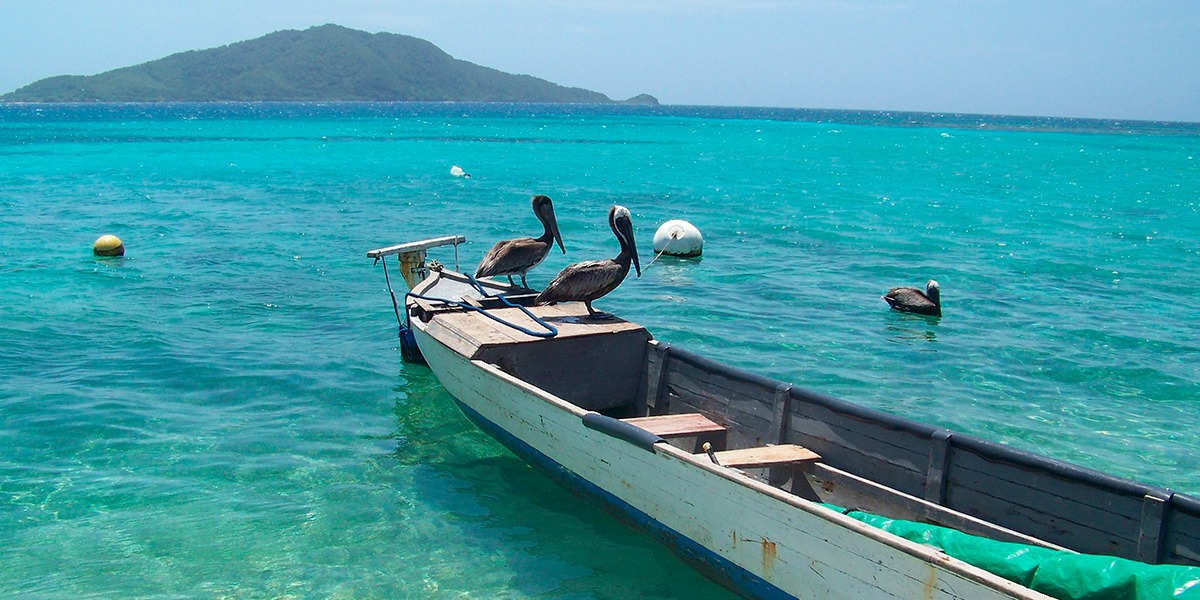 Cayos Cochinos, en Honduras, destino obligado en tu lista de naturaleza marina
