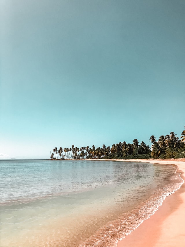 Ministro de Turismo dominicano presenta destino RD a turoperadores de EE.UU.