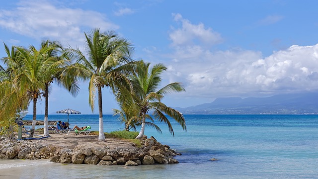 Islas Guadalupe abren fronteras a turistas