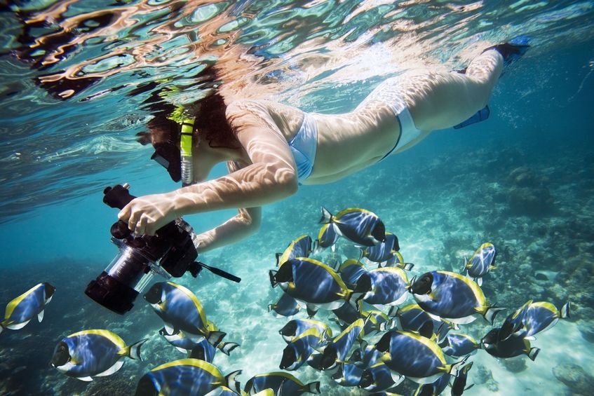 TTC Especial: Crecen retos de la naturaleza y del turismo