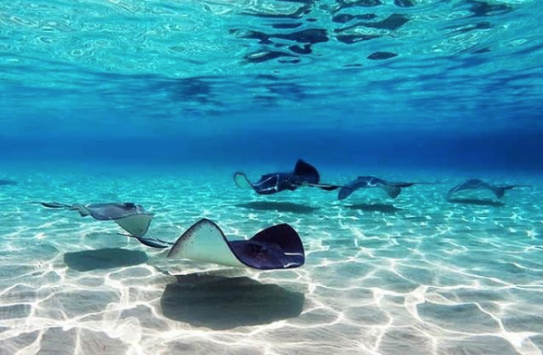 San Andrés, un pequeño mundo paralelo en el Caribe colombiano