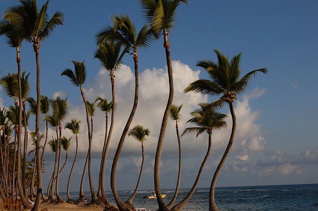 Reabrirá hotel de lujo Bahía Príncipe Luxury Esmeralda en Punta Cana