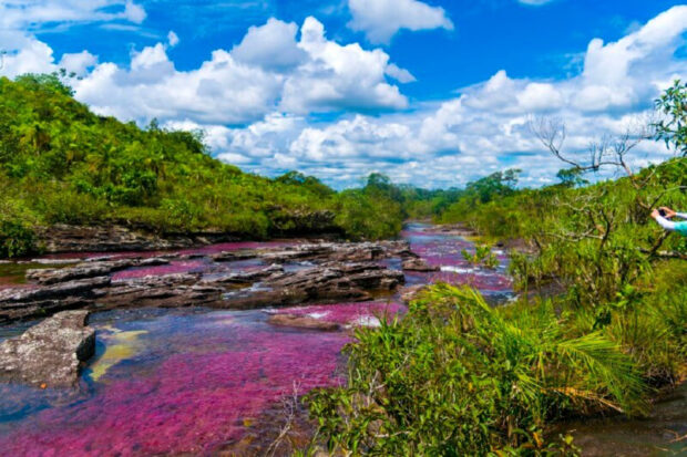 Colombia expone avances en turismo sostenible en cumbre regional