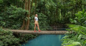 Costa Rica accede al Consejo Global de Turismo Sostenible
