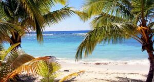 Puntos de Vista: 6 Mejores Playas de Dominica para visitar este diciembre