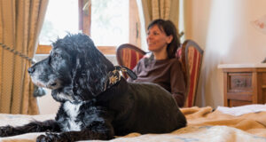 Amantes de las mascotas: turismo “pet friendly” impacta positivamente