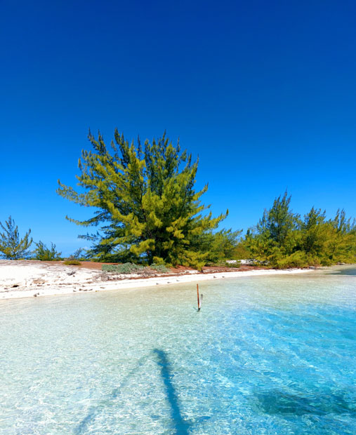Le spiagge più belle del mondo: Cayo Largo è una di queste
