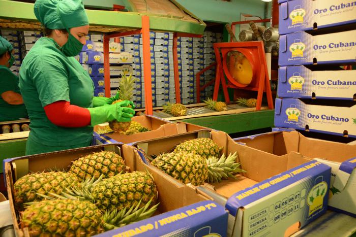 It's official: UN agency invest 170 million dollars in Cuban agriculture