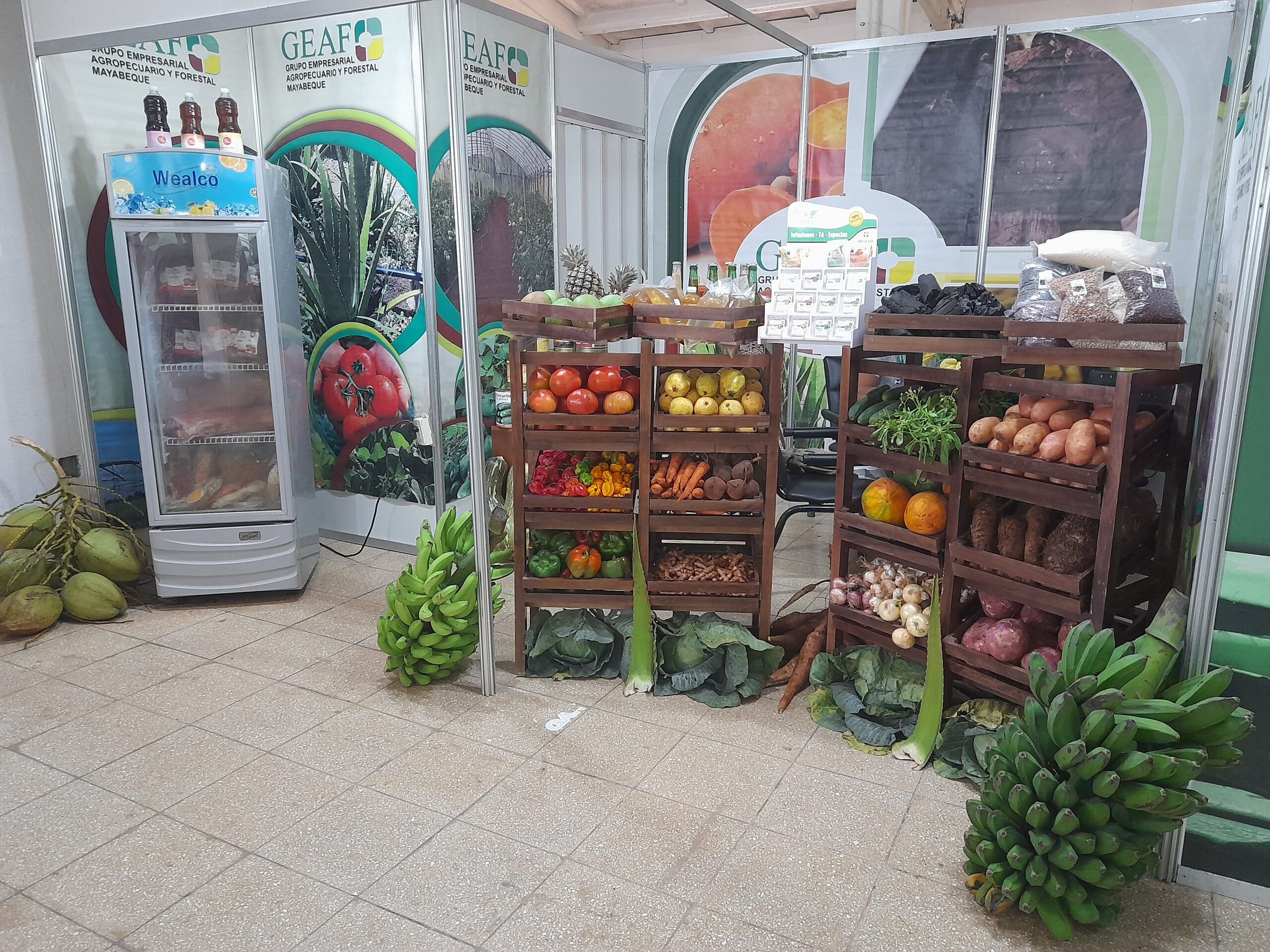Cartera de oportunidades del MINAG ¿Cómo invertir en Cuba?