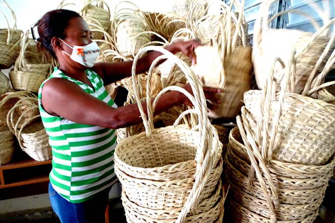 Así es la Empresa Agroforestal Gran Piedra Baconao, de Santiago de Cuba