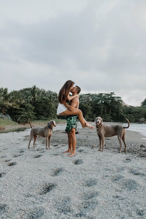 Booking.com recomienda playas pet friendly en México