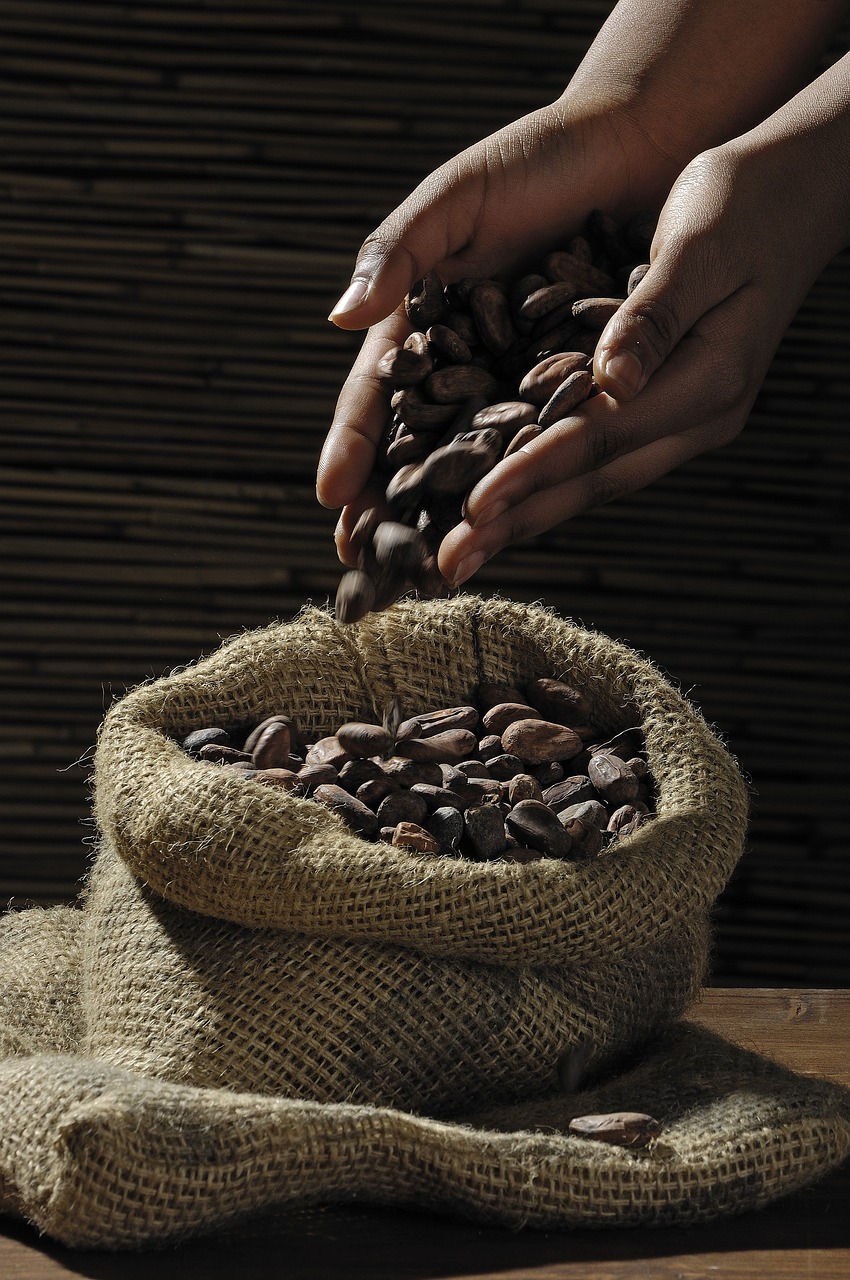 Té de cacao: tradición del desayuno en Guyana