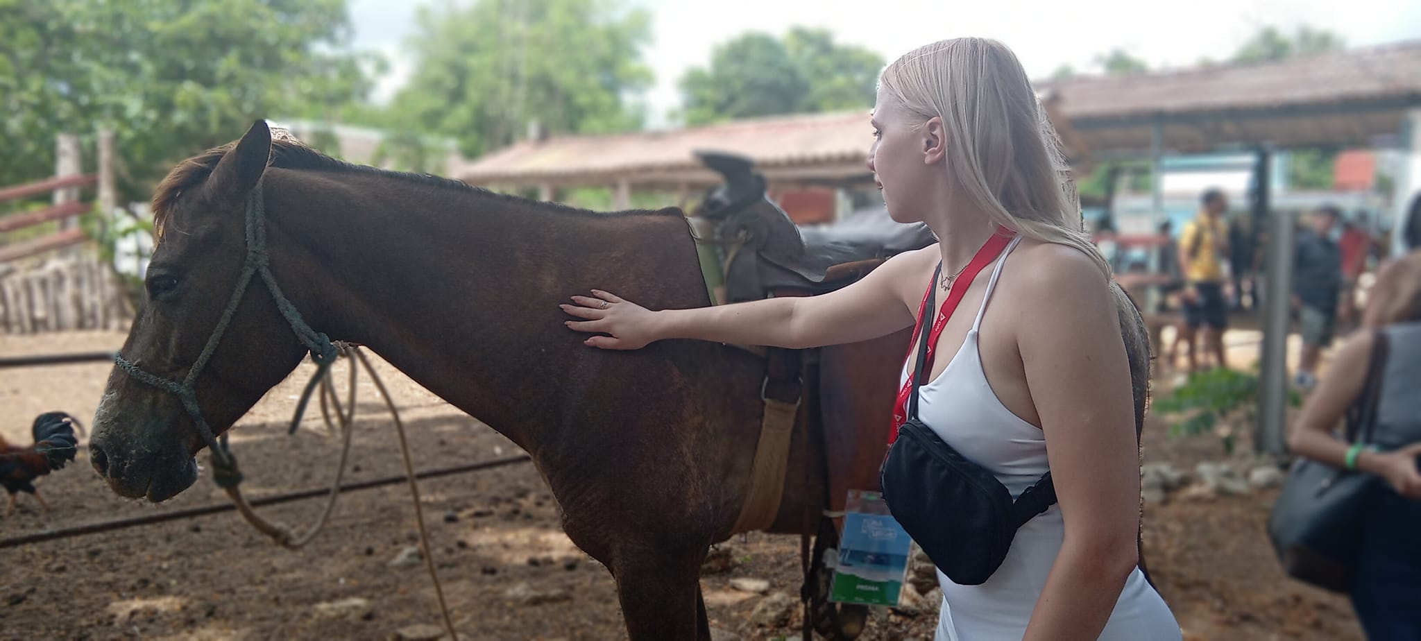 Cuba acogerá el X Encuentro Iberoamericano de Turismo Rural y Agroturismo 2025
