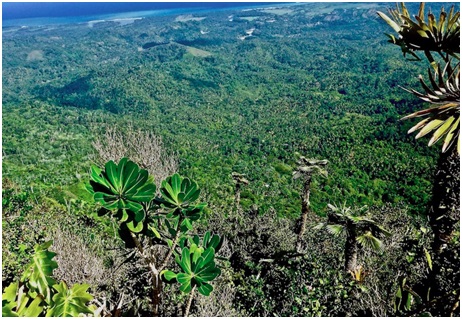 Especial TTC: Parque Nacional Alejandro de Humboldt, “ruta de la naturaleza y el hombre”