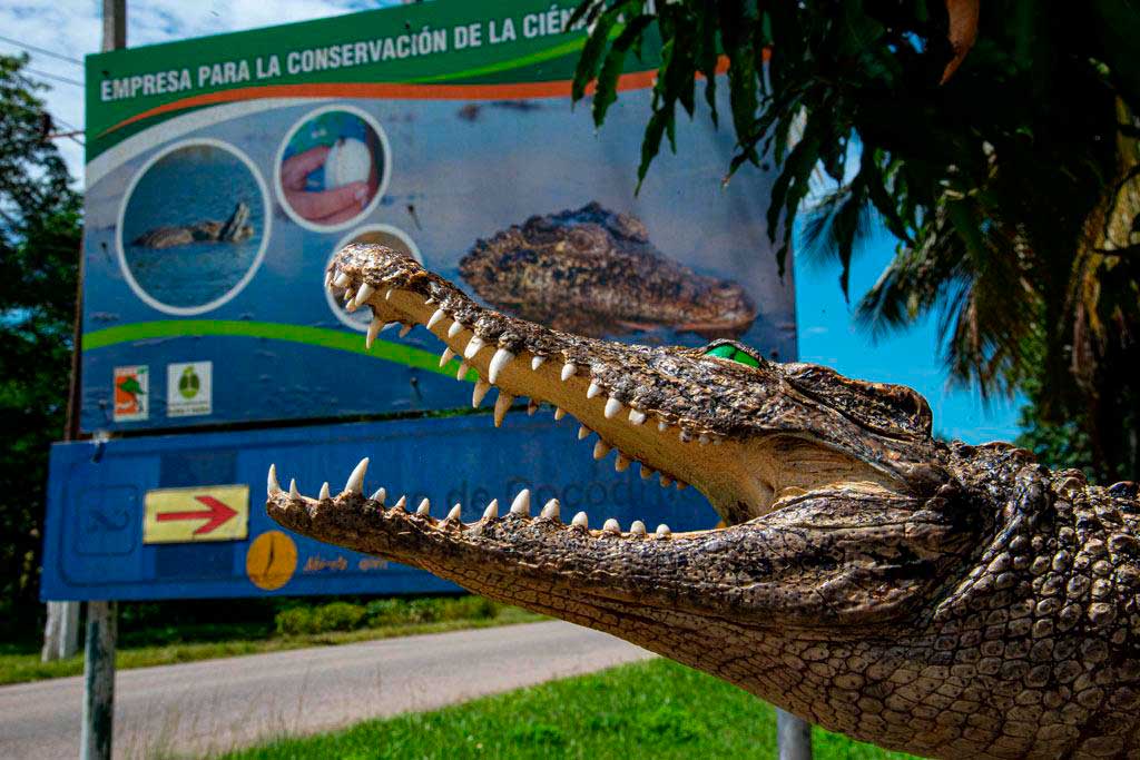Turismo responsable y naturaleza protegida en Ciénaga de Zapata, Cuba