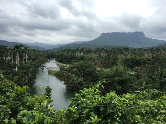 Cuba, con enormes potencialidades para insertarse en el mercado de carbono