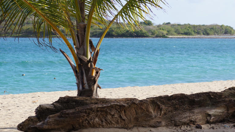 Guida completa per esplorare l’isola dei Caraibi